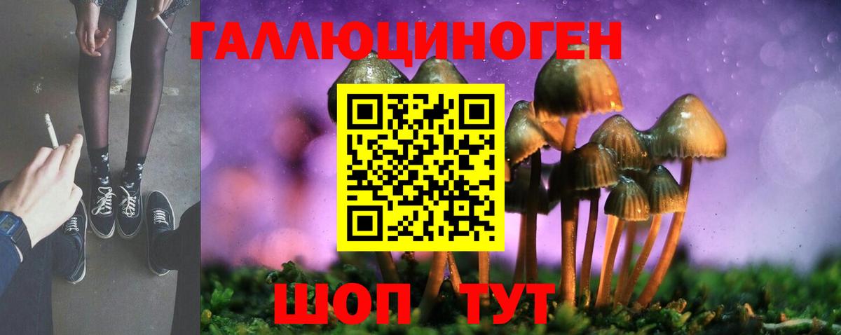 купить  сайты  Галлюциногенные грибы GOLDEN TEACHER  Вход с VPN  Красный Сулин 